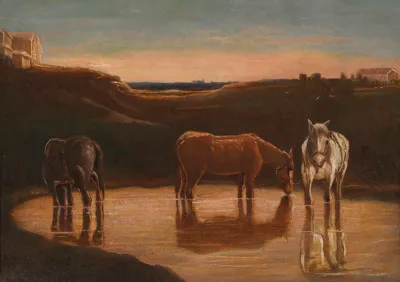 Cavalli Al Guado