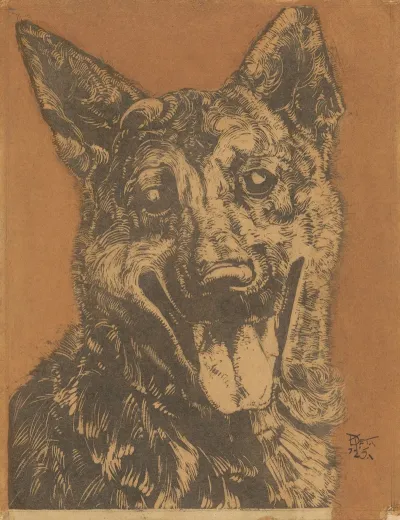 Cees Portret Van Een Hond