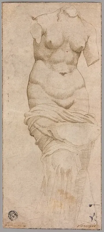 Celestial Venus