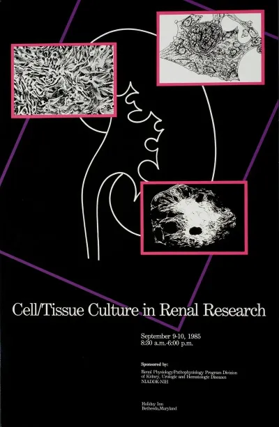 Cell Tissue Culture In Renal Research