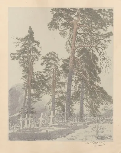 Cemetery In Vowchick