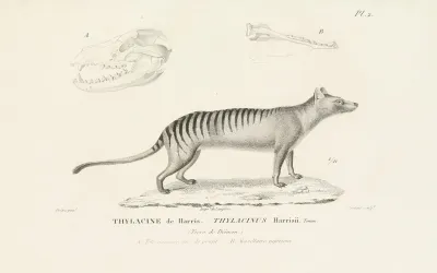 Centurie Zoologique Pl 02