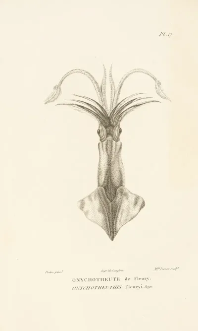 Centurie Zoologique Pl 17