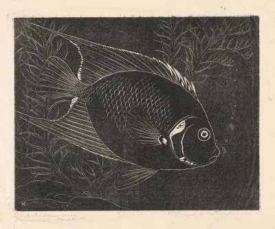 Chaetodon Visch