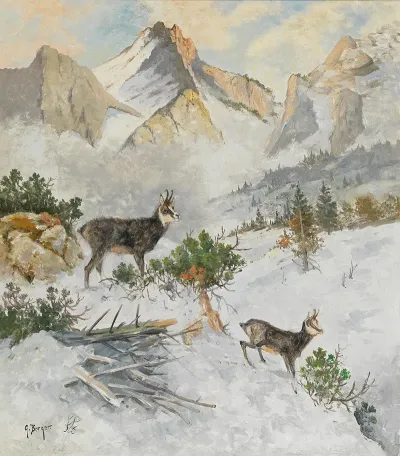 Chamois In A Winter Landscape