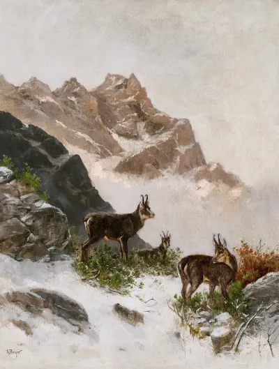 Chamois In The Snow