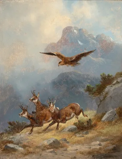 Chamois Pursued By An Eagle