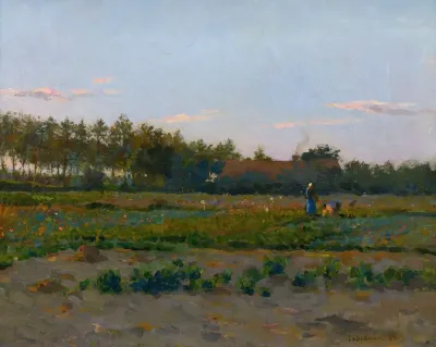 Champ De Coqueliquots