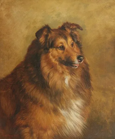 Champion Eclipse A Sable And White Rough Collie