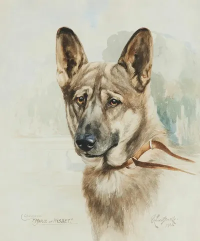 Champion Marie Of Nisbet