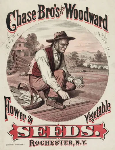 Chase Bros And Woodward Flower Vegetable Seeds