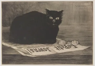 Chat Noir Sur Un Journal