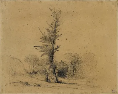 Chaumiere Dans Les Arbres