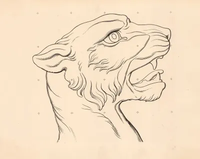 Cheetah Head