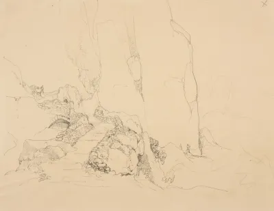 Chemin A Flanc De Montagne