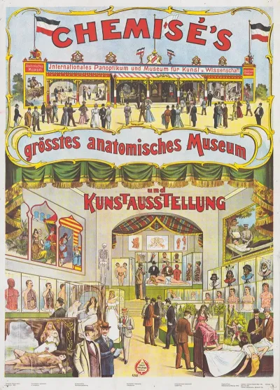Chemises Grostes Anatomisches Museum Und Kunst Ausstellung