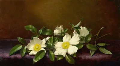 Cherokee Roses On A Purple Cloth