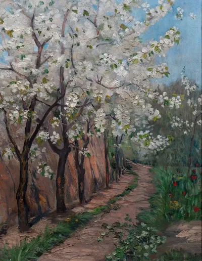 Cherry Blossom