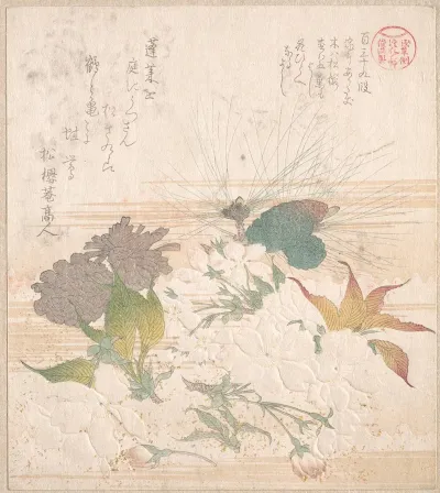 Cherry Blossoms And Pine Cones