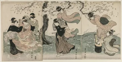 Cherry Blossoms In The Wind