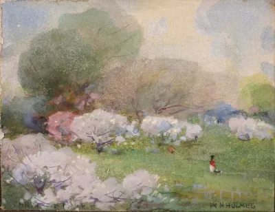 Cherry Blossoms