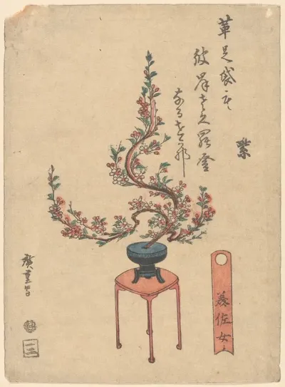 Cherry Flowers In Blue Pot On Stand