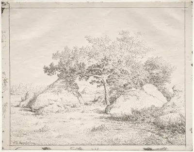 Cherry Tree At Blau
