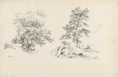 Chestnut And Pine