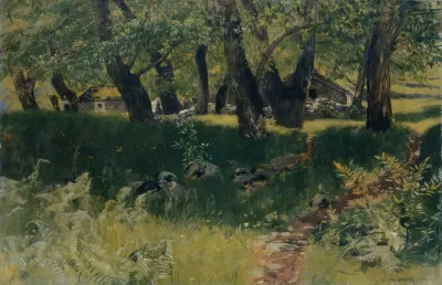 Chestnut Forest Near Bignasco