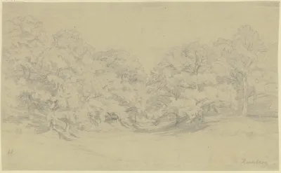 Chestnut Forest Near Kronberg