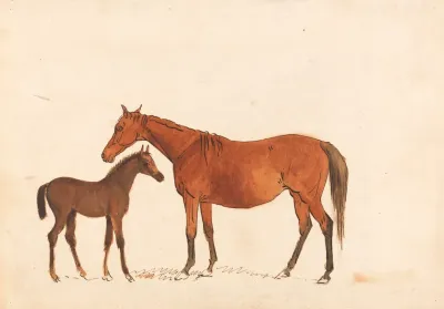 Chestnut Mare And Foal