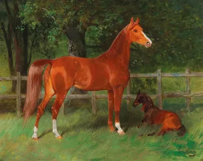 Chestnut With Foal In The Meadow
