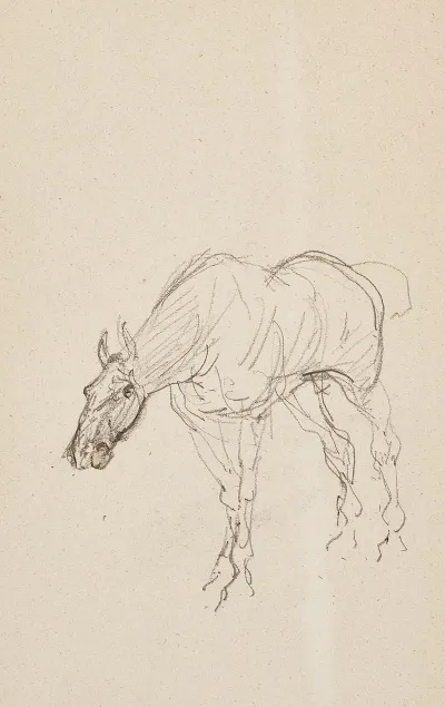 Cheval 4