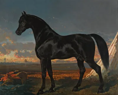 Cheval Noir Au Palmier