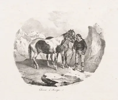 Chevaux D Auvergne