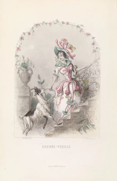 Chevre Feuille