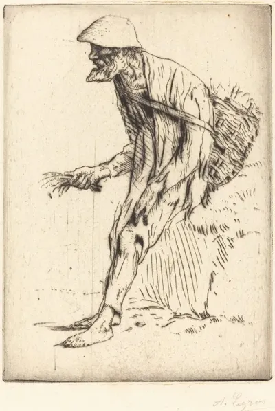 Chickweed Merchant Marchand De Mouron
