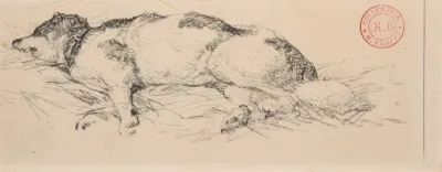 Chien Couche