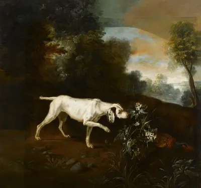 Chien En Arret Devant Un Faisan