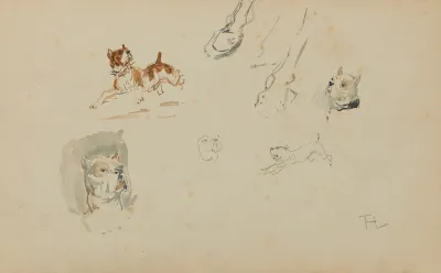 Chiens Et Sabots De Cheval