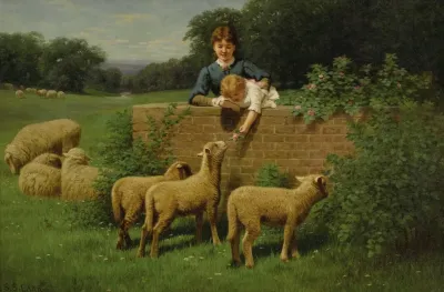 Child Feeding The Sheep