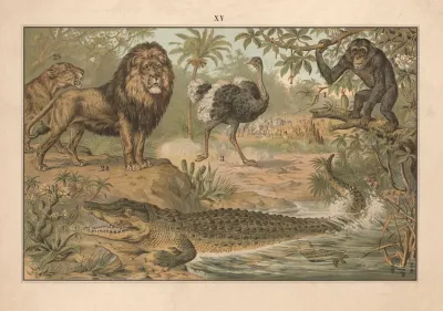 Chimpanzee Lion Ostrich And Crocodile