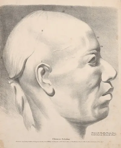 Chinese Scholar Profile No 2