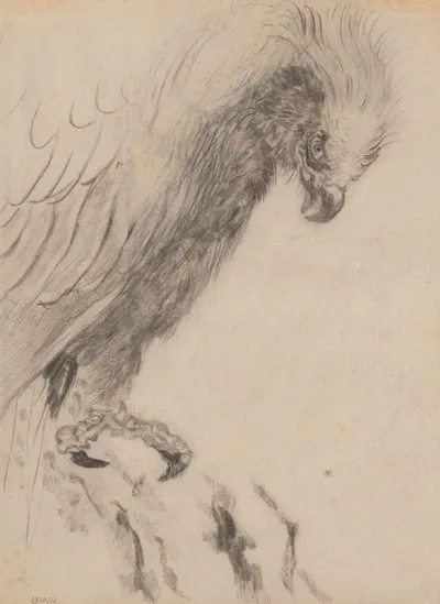 Chinoiserie A Bird Of Prey
