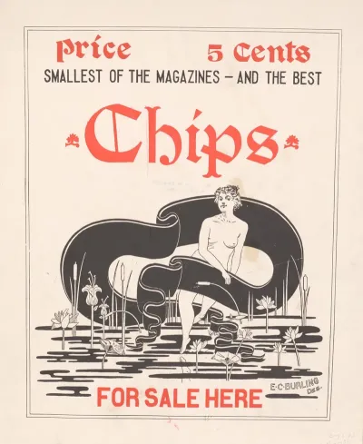 Chips