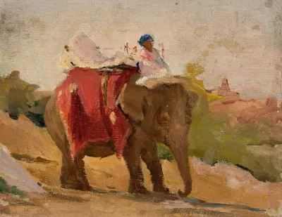 Chittorgarh My Elephant From The Journey To India