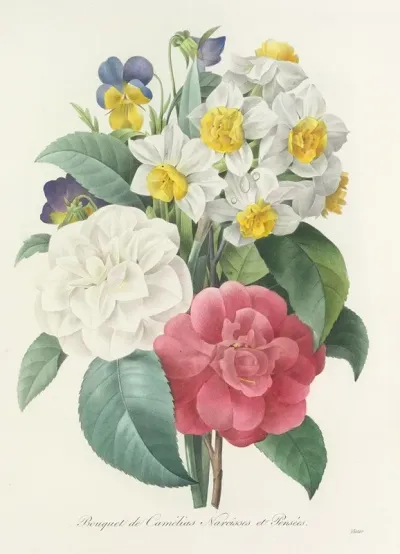 Choix Des Plus Belles Fleurs Pl 015