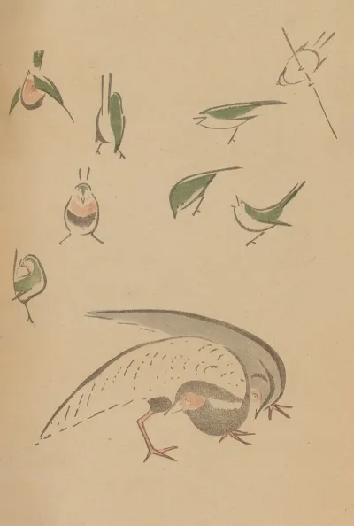 Choju Ryakugashiki Pl 15