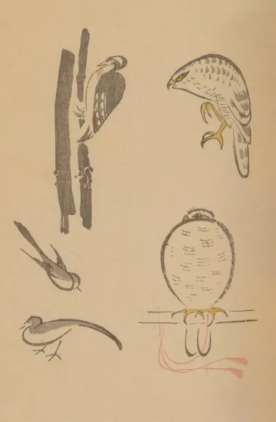 Choju Ryakugashiki Pl 26