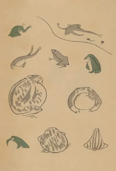 Choju Ryakugashiki Pl 37